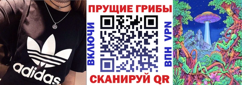 Псилоцибиновые грибы Psilocybine cubensis что такое наркотик мориарти как зайти Струнино